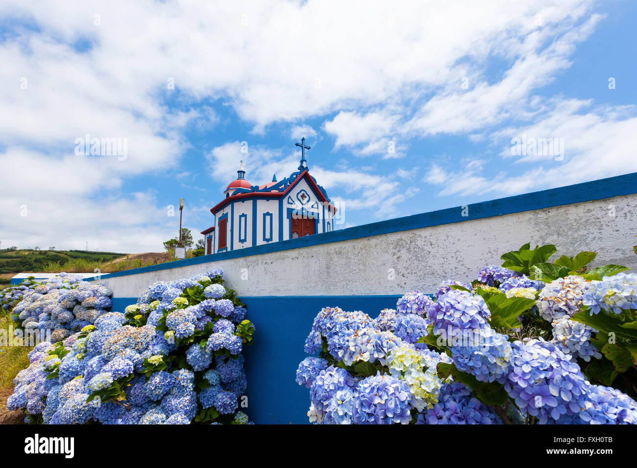 Ermida de Nossa Senhora do Monte Santo, chapelle au-dessus du village d'Agua de Pau, Sao Miguel, Açores, haie de fleurs d'Hydrangea en premier plan Banque D'Images