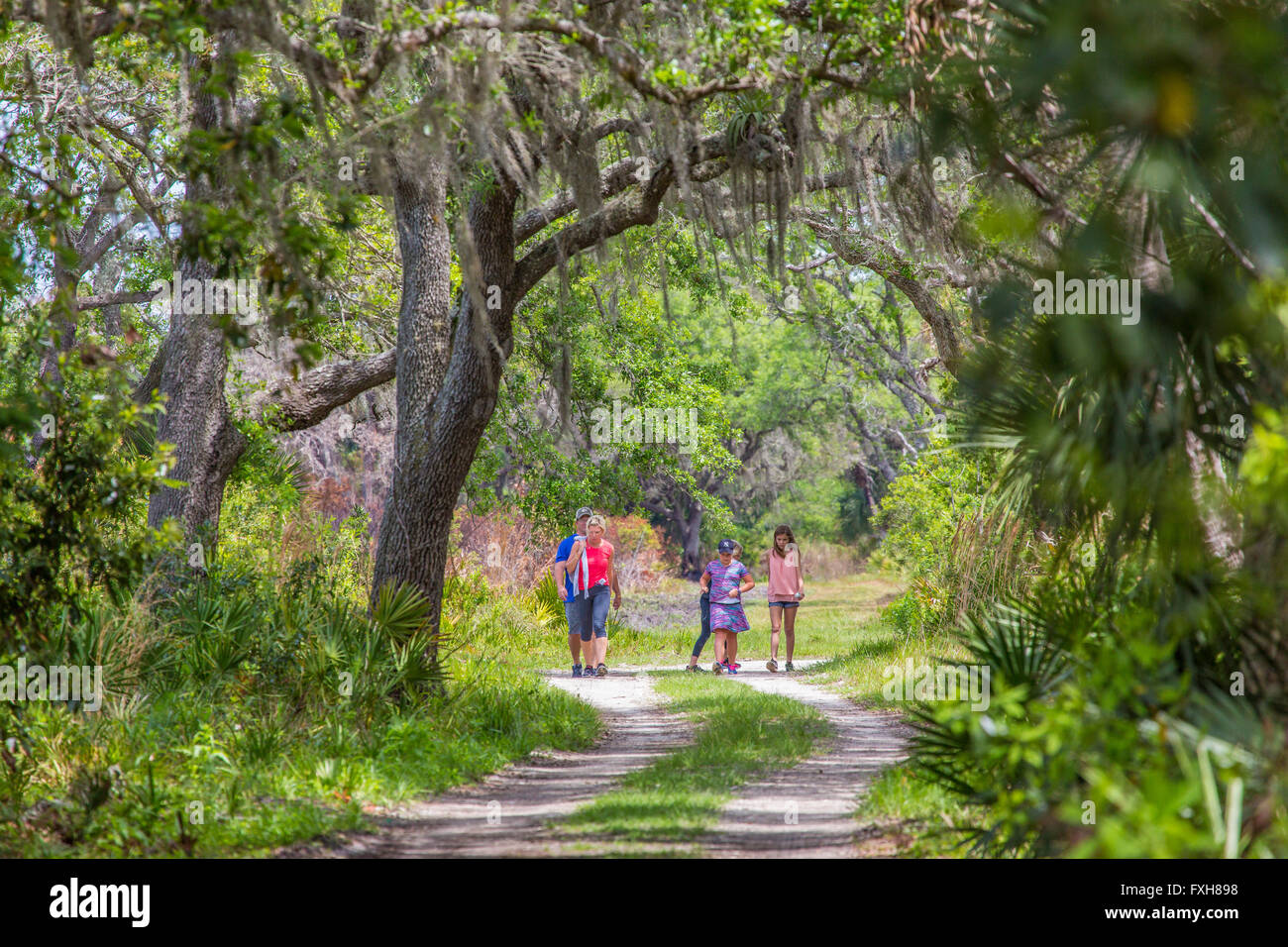 Family walking on Ranch House Road dans Myakka River State Park dans le comté de Sarasota à Sarasota en Floride Banque D'Images