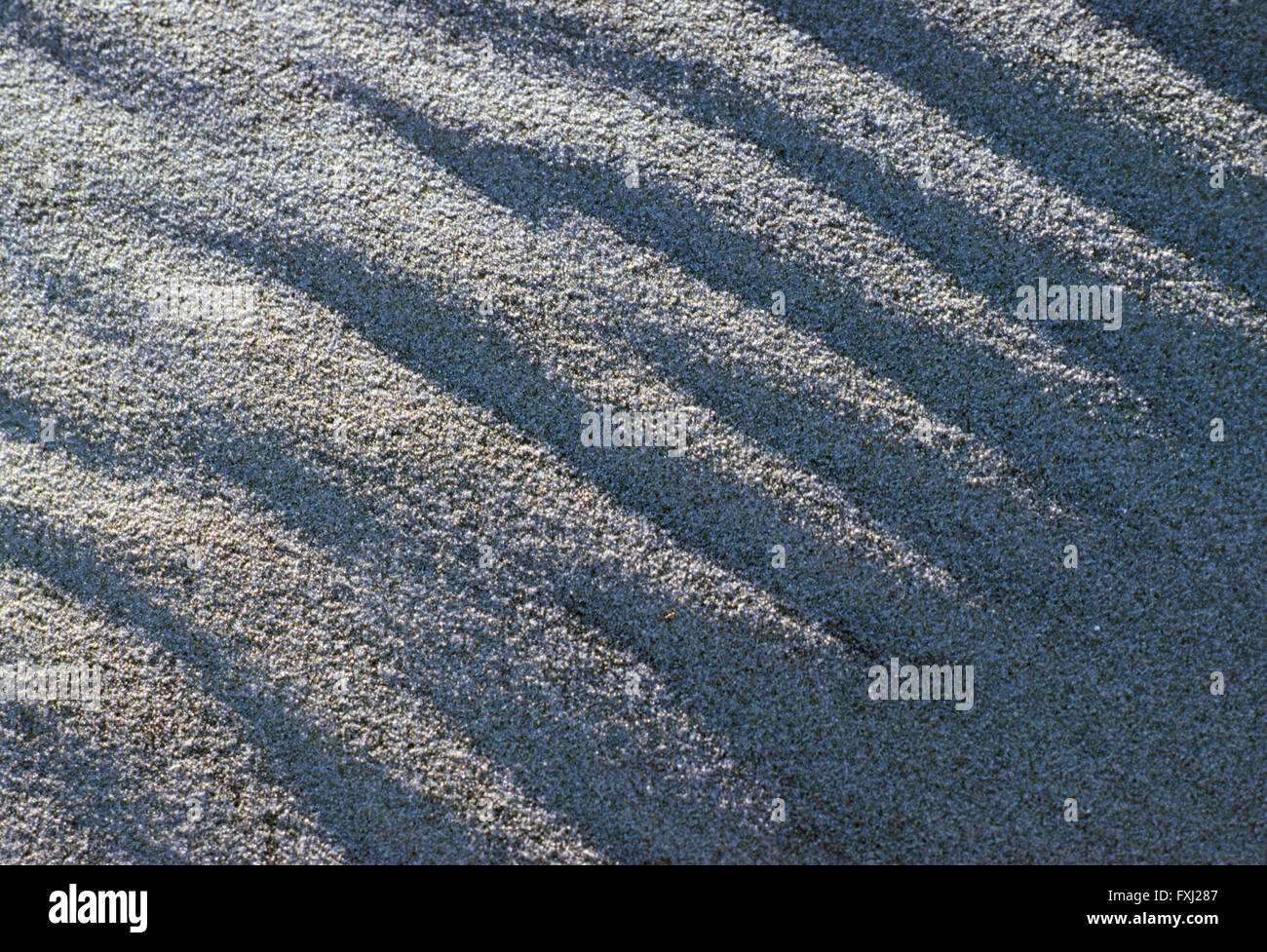 Close-up détaillé des motifs dans le sable de la plage ensoleillée Banque D'Images