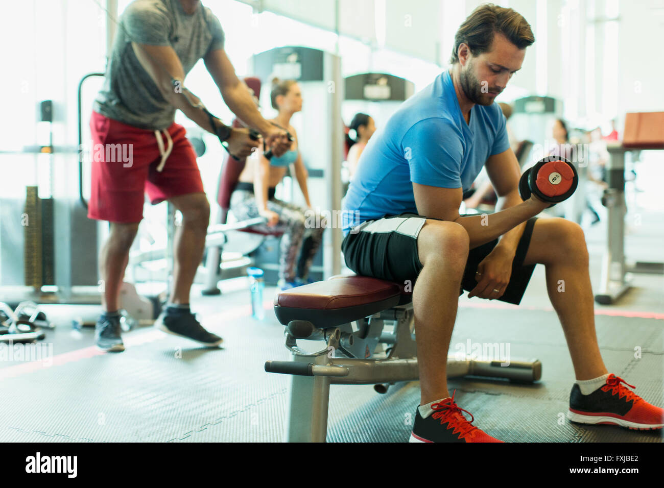 Man doing biceps haltère at gym Banque D'Images