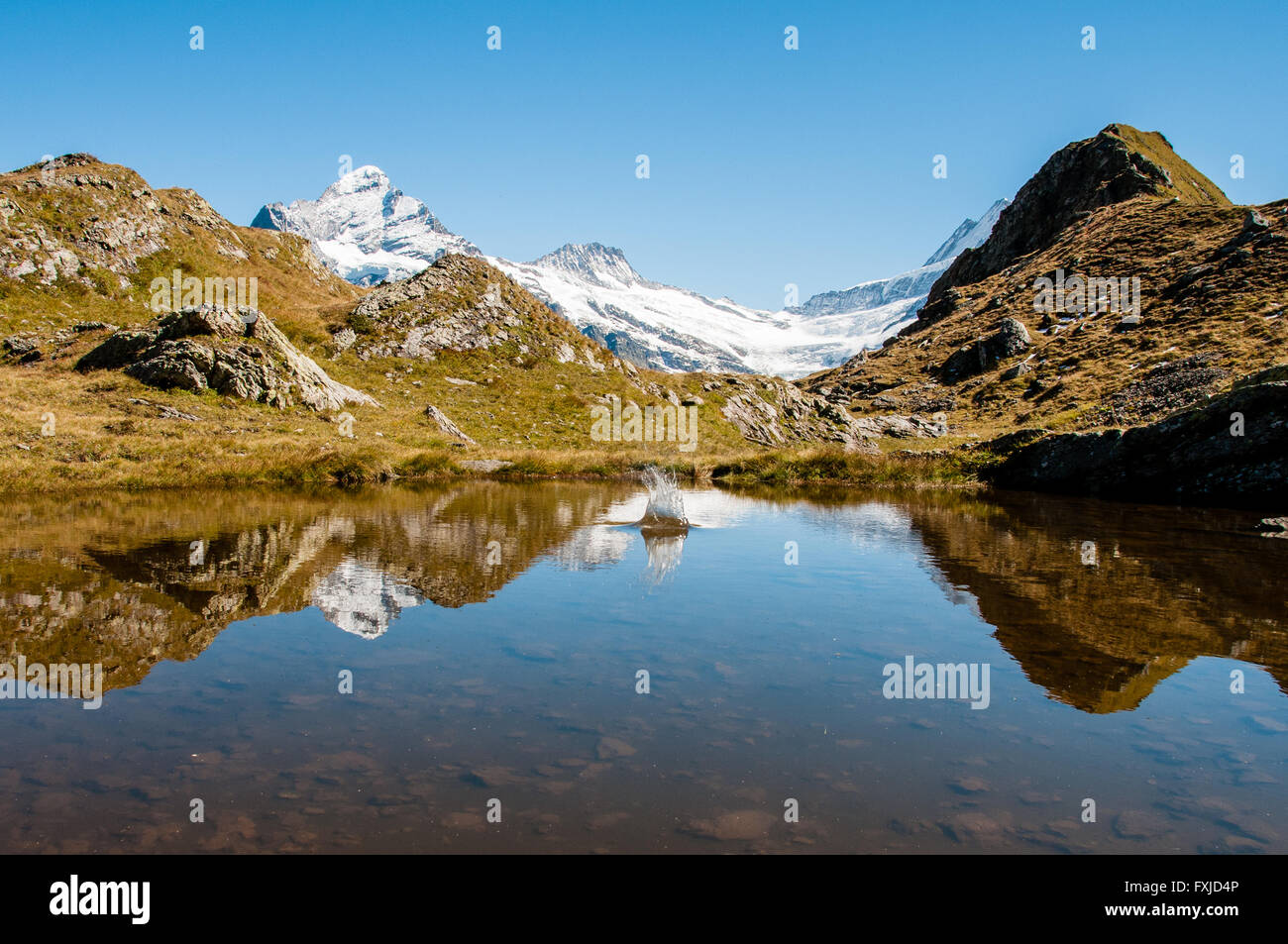 Les montagnes suisses se reflétant dans un lac Banque D'Images