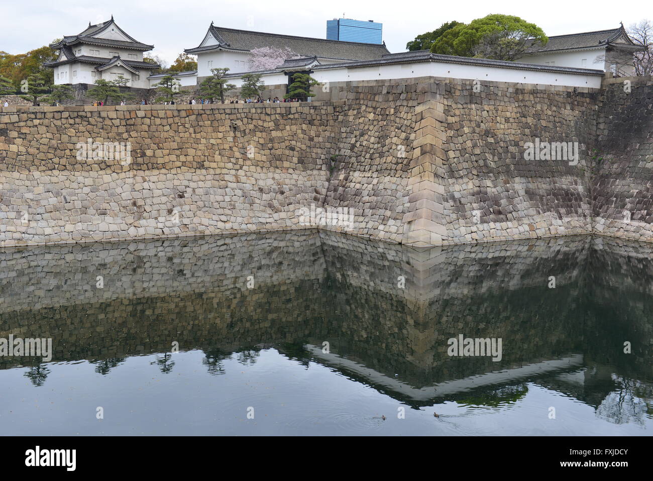 Douves au château d'Osaka, Osaka, Japon Banque D'Images