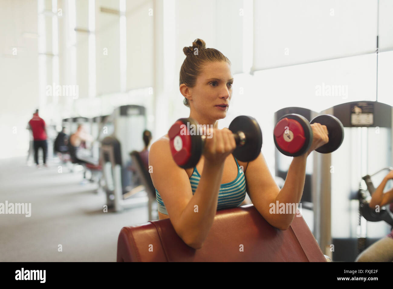 L'accent woman doing biceps haltère at gym Banque D'Images