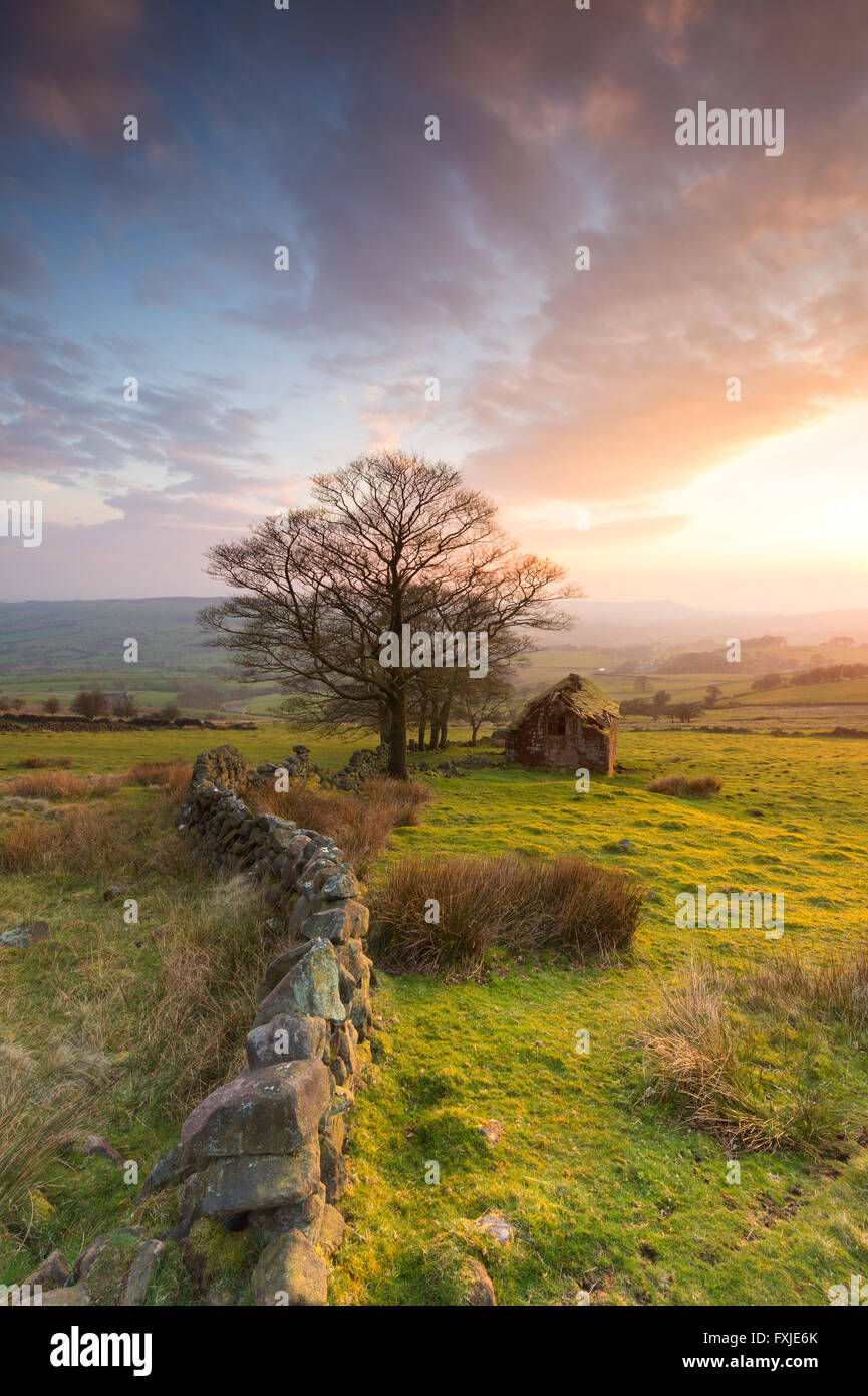 Vieille Grange abandonnée à Roach fin, les blattes, parc national de Peak District, Staffordshire, England, UK Banque D'Images
