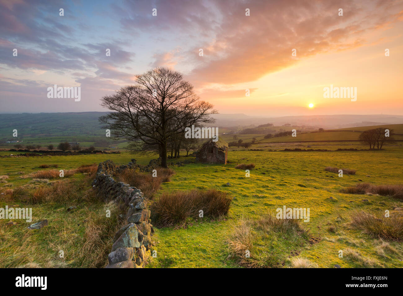 Vieille Grange abandonnée à Roach fin, les blattes, parc national de Peak District, Staffordshire, England, UK Banque D'Images