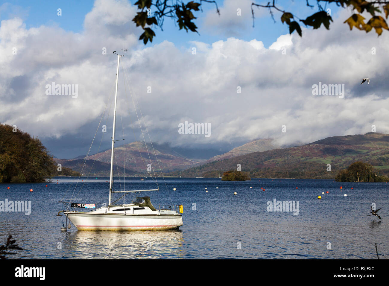 La location d'un bateau à voile sur le lac Windermere dans le Lake District, Cumbria, Angleterre, Royaume-Uni Banque D'Images