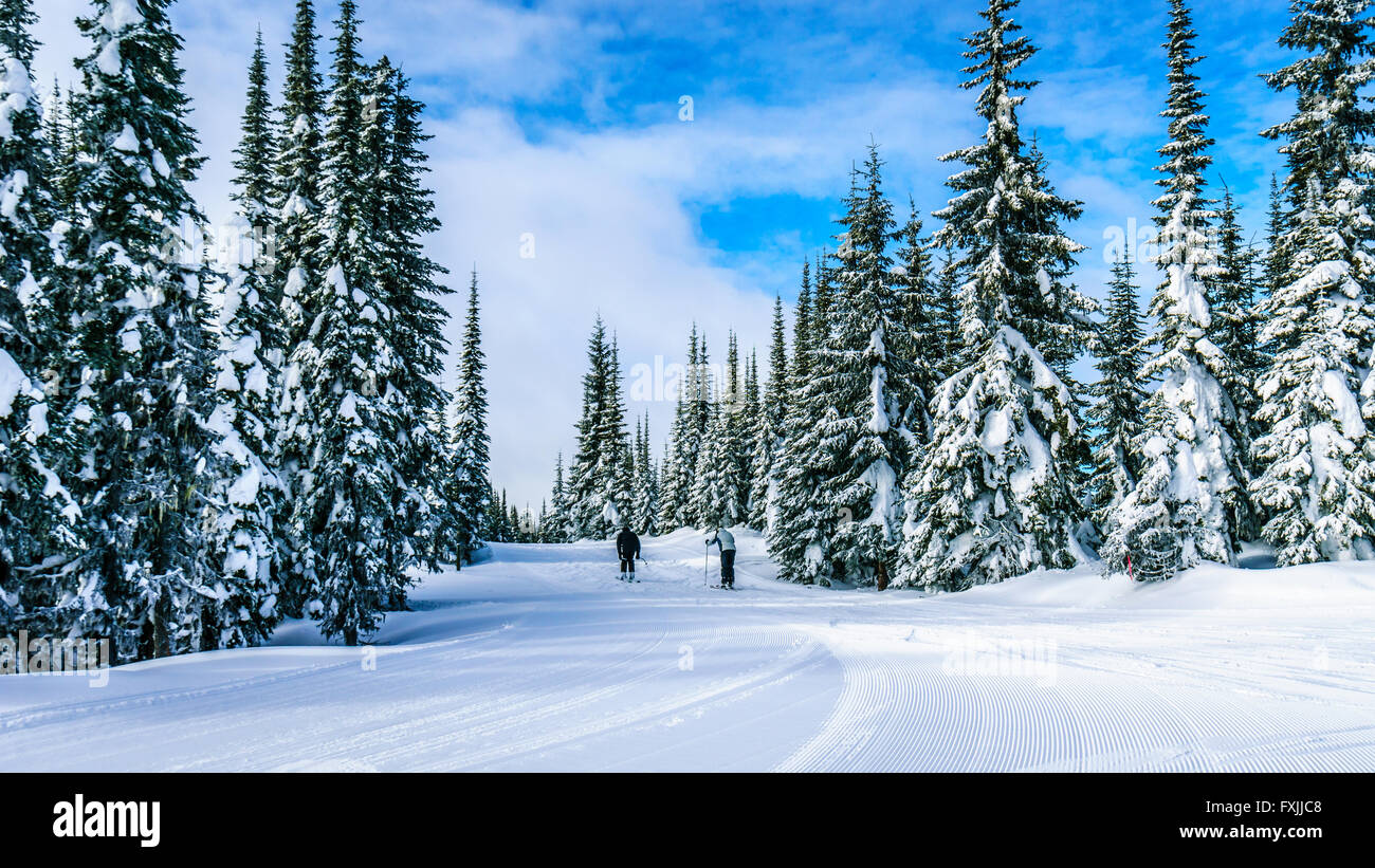 Le ski dans la région de haute montagne de la Shuswap Highlands en Colombie-Britannique au village de Sun Peaks Banque D'Images
