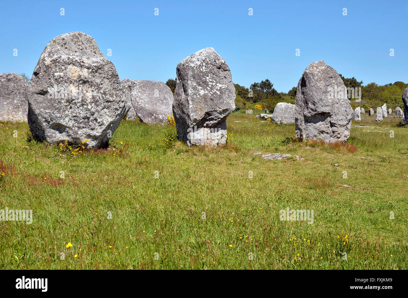 Célèbre menhirs de Carnac, dans le morbihan en Bretagne dans le nord-ouest de la France Banque D'Images