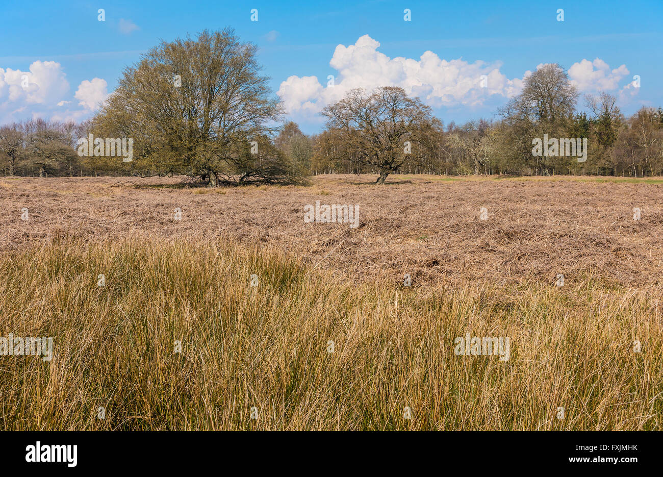 Les formations de nuages Lande anglaise au printemps Campagne Kent Banque D'Images