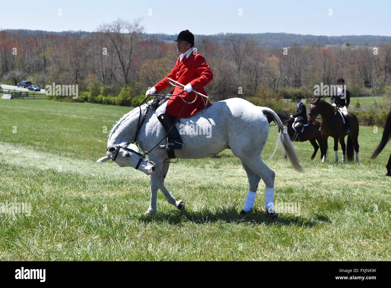 Fox hunter à My Lady's Manor Courses Steeplechase à Monkton, MD. Banque D'Images