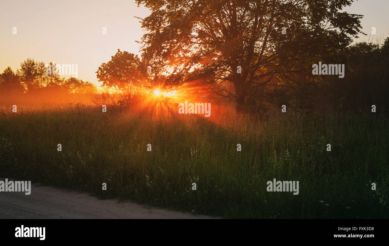 Campagne pré en beau coucher du soleil Banque D'Images