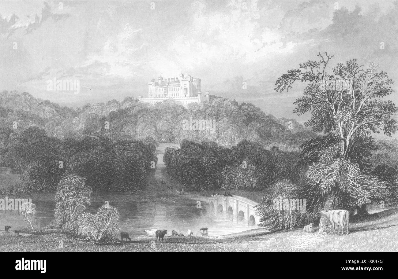 Château de Belvoir : Leicestershire : vaches Allom, pont ancien 1836 Banque D'Images