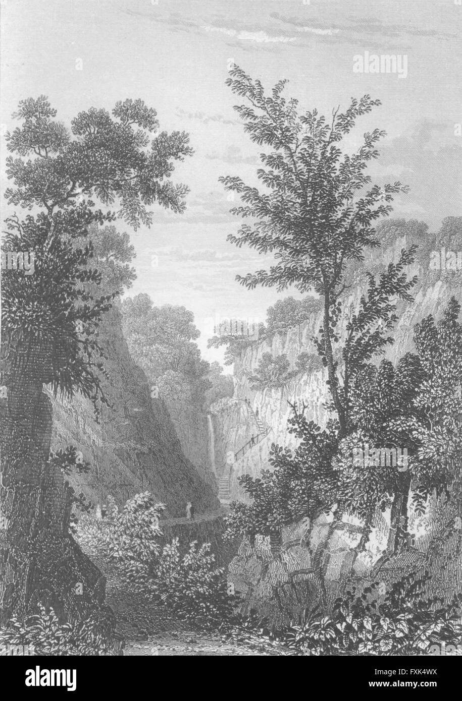 L'OIEAU : Chef de Shanklin Chine, antique print c1840 Banque D'Images