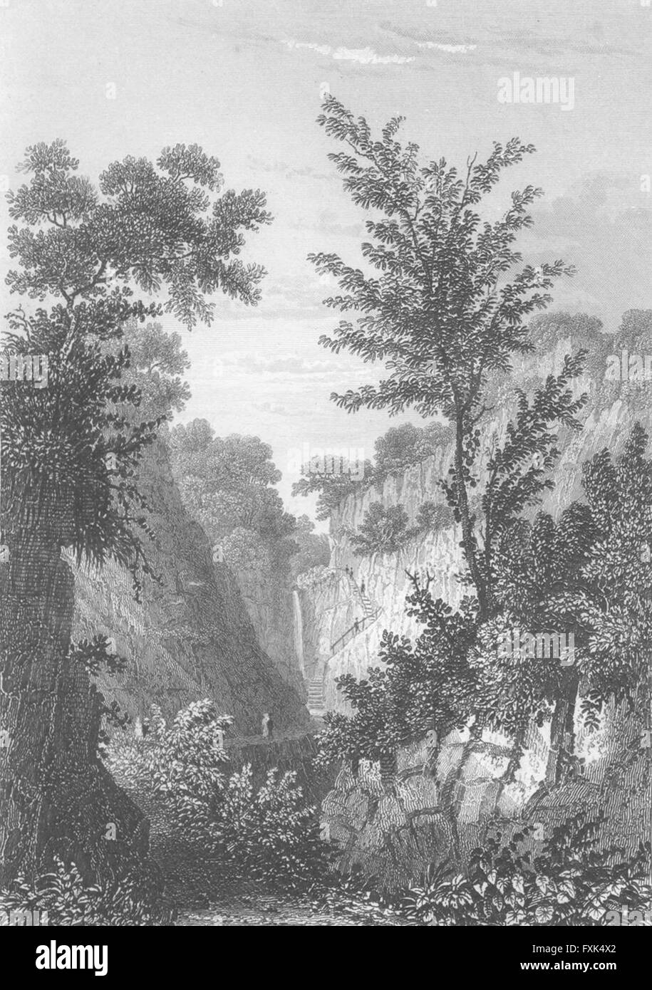 L'OIEAU : Chef de Shanklin Chine, antique print c1840 Banque D'Images