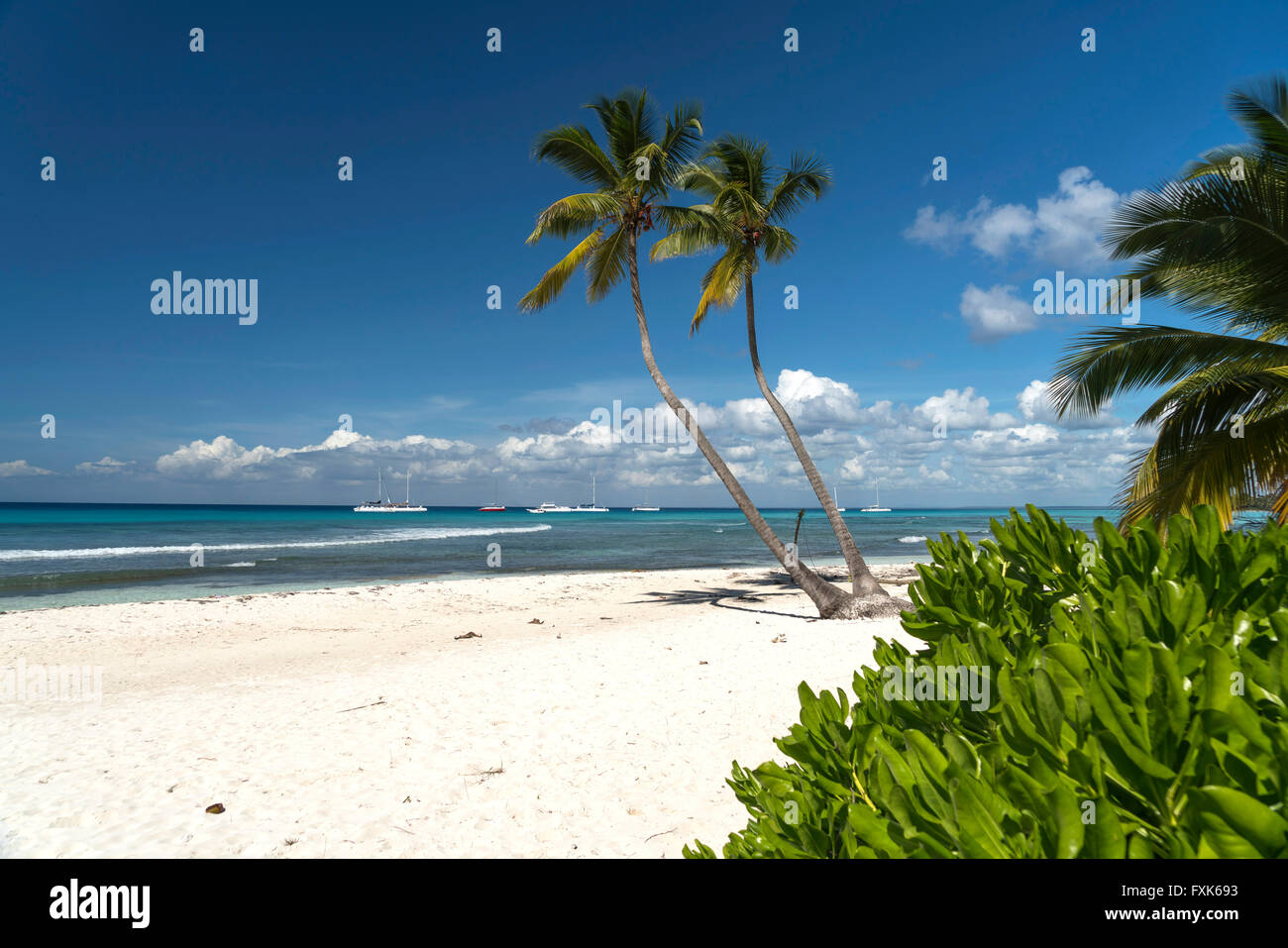Plage de rêve, plage de sable avec des palmiers et la mer turquoise ...