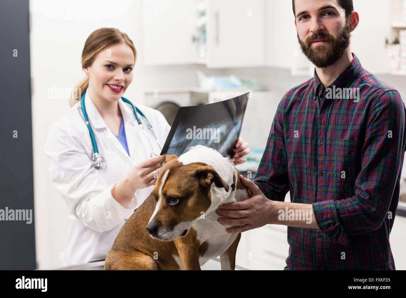 Portrait of vet avec x-ray et propriétaire de chien Banque D'Images