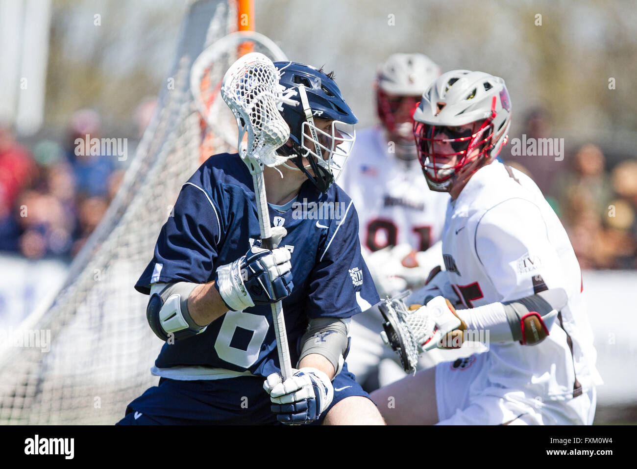 Domaine Stevenson-Pincince. Apr 16, 2016. RI, USA ; milieu Bulldogs Yale Brendan Mackie (6) en action au cours de la première moitié d'une partie de crosse NCAA entre Yale bulldogs et les ours bruns à Stevenson-Pincince Champ. Brown défait 14-12 Yale. M. Anthony Nesmith/Cal Sport Media/Alamy Live News Banque D'Images