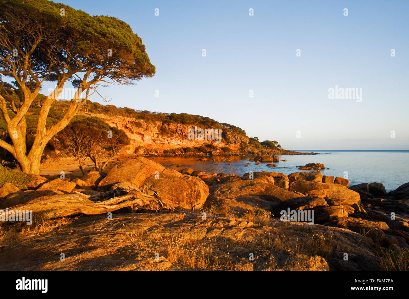 Feu tôt sur Bunker Bay dans le sud-ouest de l'Australie. Banque D'Images