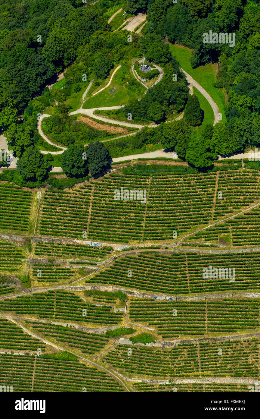 Vue aérienne, de la viticulture à la colline du Château de Fribourg à Oberau, Ludwigshöhe, Freiburg, Breisgau, Baden-Wurttemberg, Allemagne, Banque D'Images