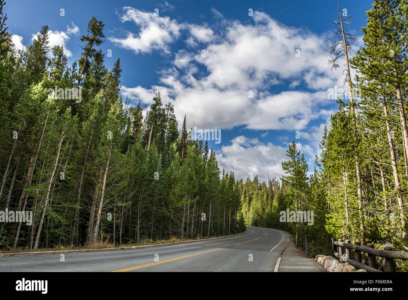 Le Parc National de Yellowstone, Wyoming, United States Banque D'Images