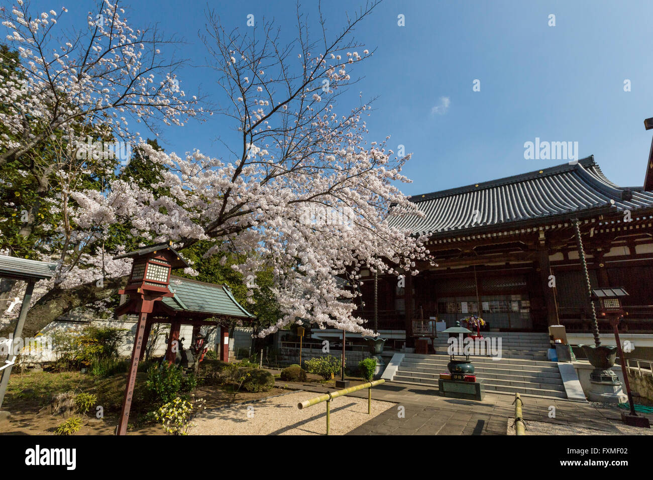 Temple de Asakusa, Tokyo, Japon Banque D'Images