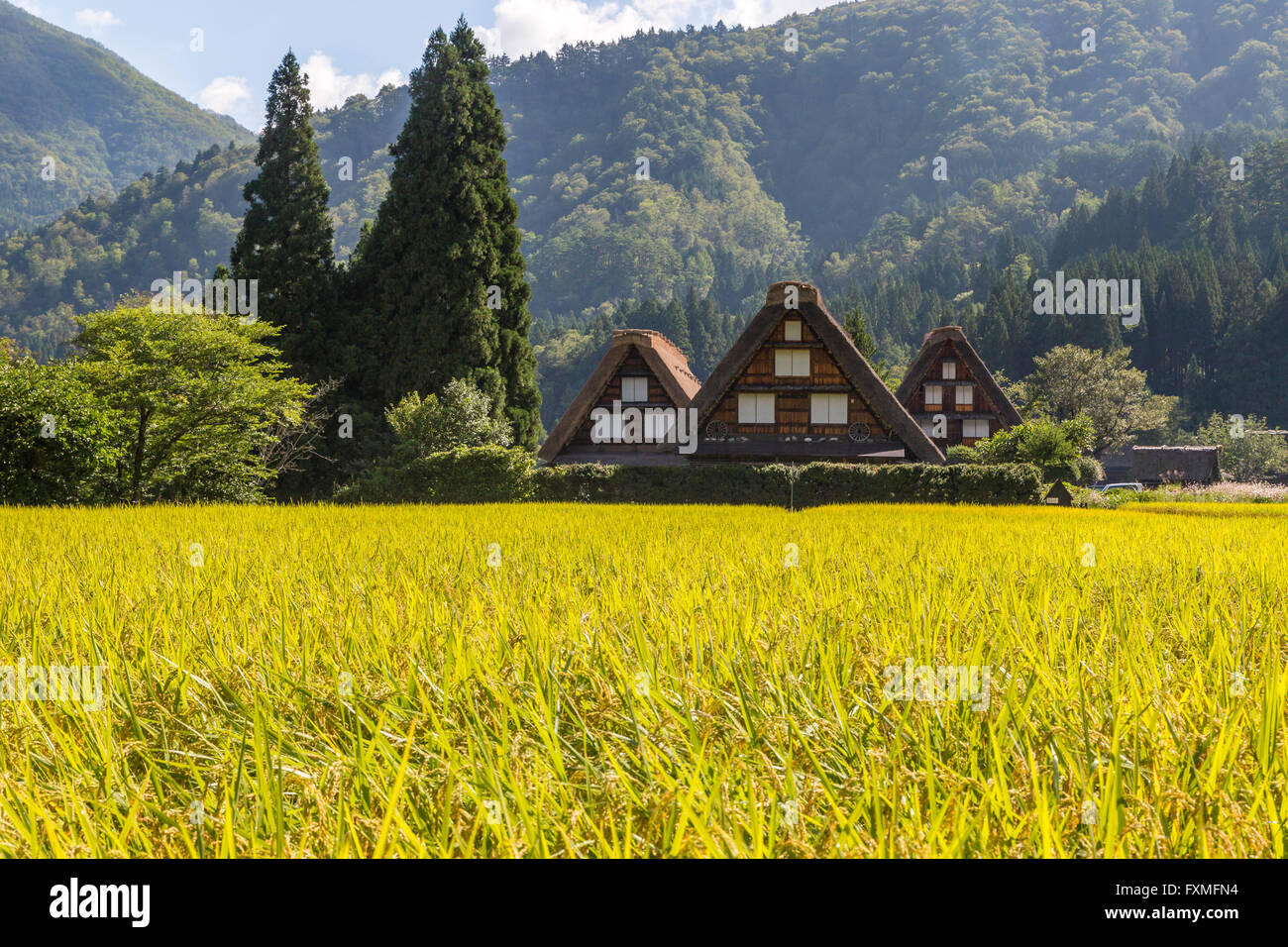 Les Villages historiques de Shirakawago et Gokayama, Gifu, Japon Banque D'Images