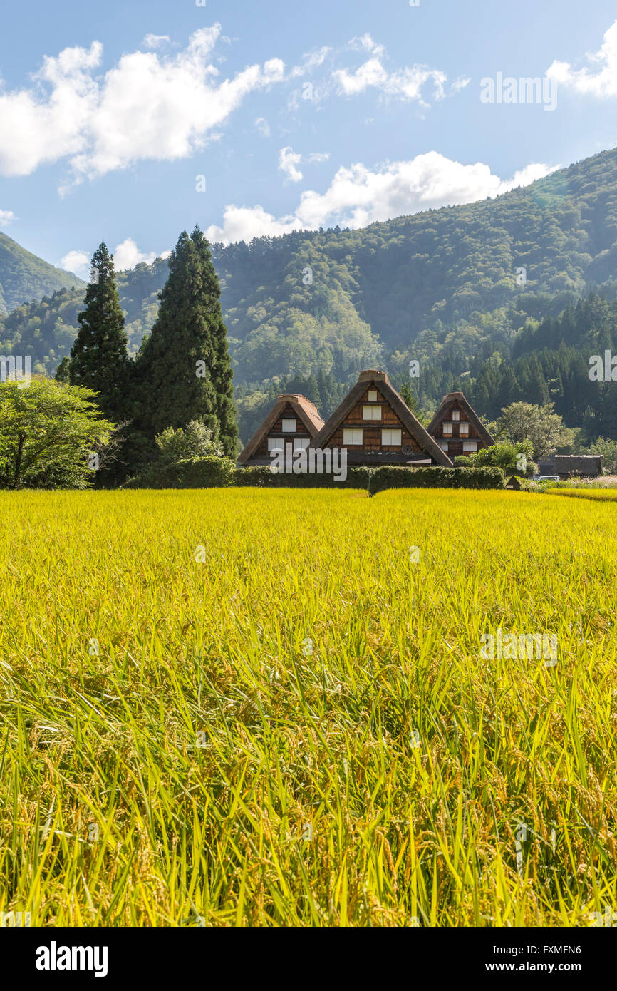 Les Villages historiques de Shirakawago et Gokayama, Gifu, Japon Banque D'Images