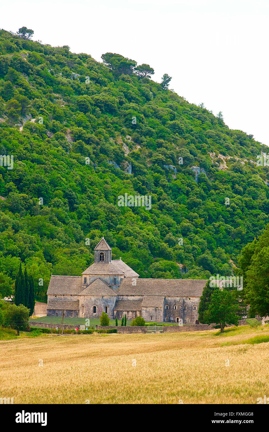 Abbaye de Sénanque, Gordes, France Banque D'Images