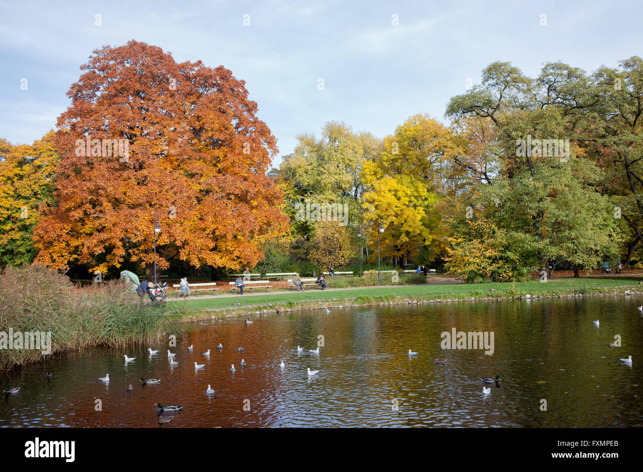 Lac et arbres en automne Château Ujazdowski Parc, ville de Varsovie, Pologne Banque D'Images