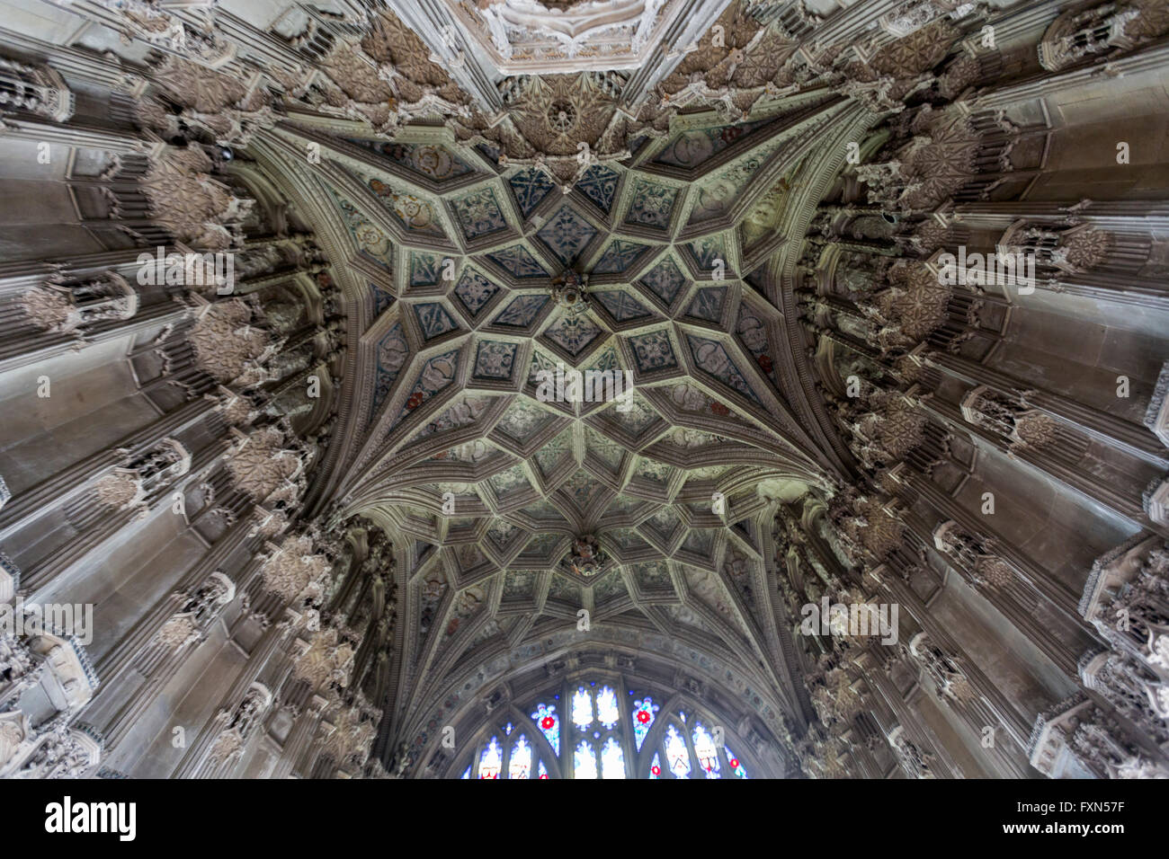 Plafond voûté, Cathédrale d'Ely, Cambridgeshire, Angleterre, RU Banque D'Images
