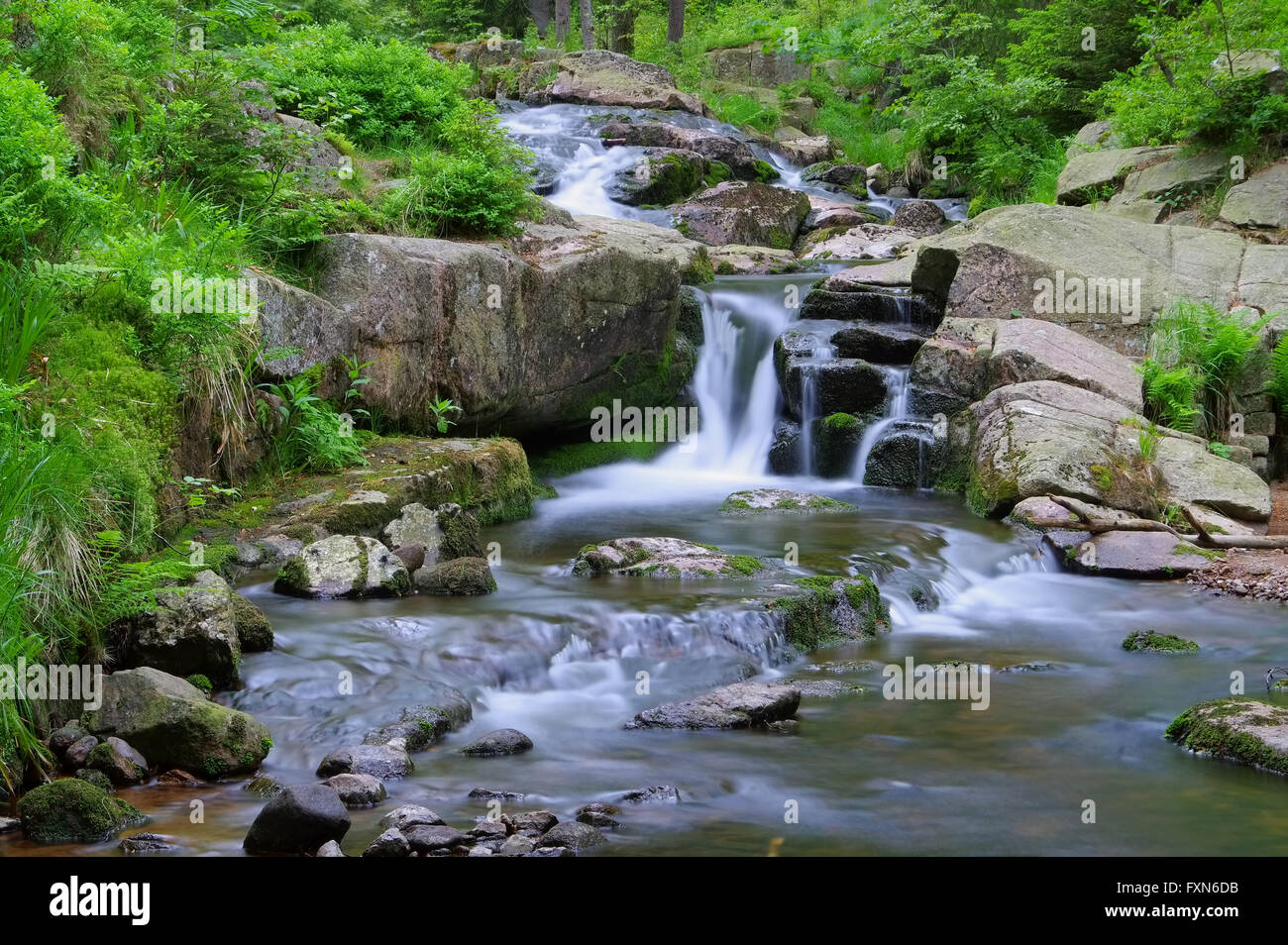 Bodewasserfall im Harz - rivière cascade de bon augure dans Harz Banque D'Images