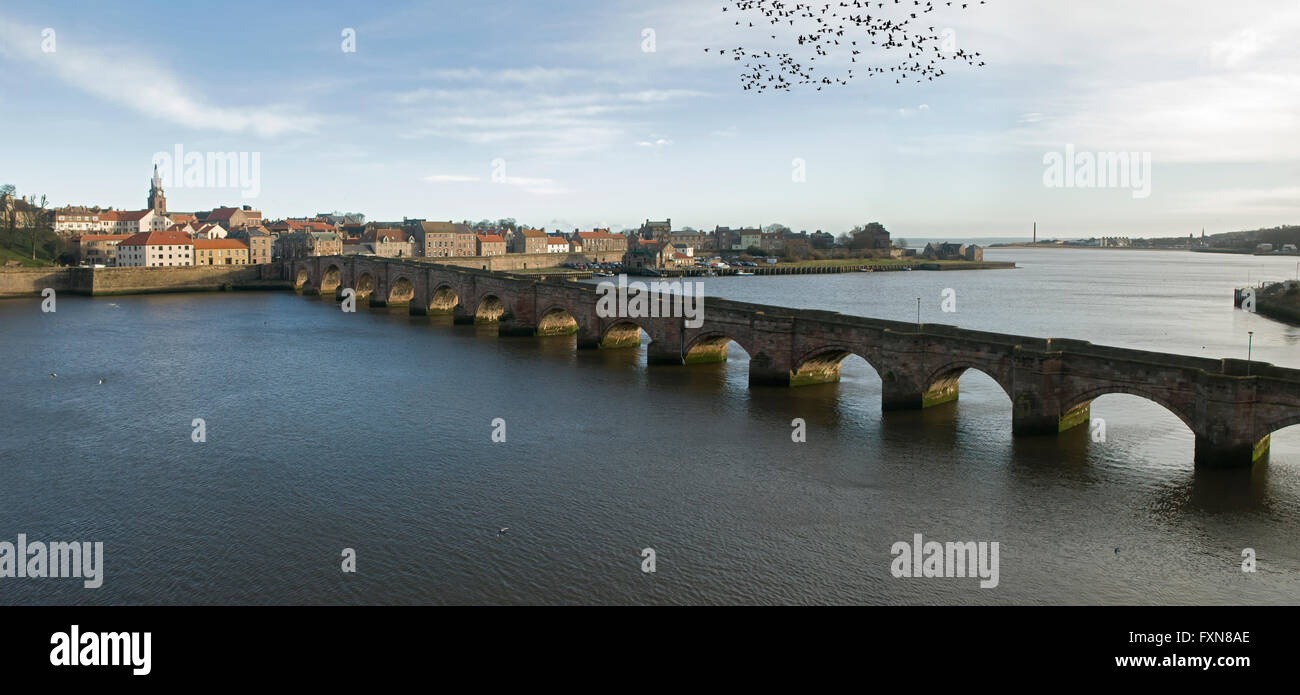 Le vieux pont sur la rivière Tweed menant à Berwick-upon-Tweed. Construit 1610-16. Le lien principal entre l'Angleterre et l'Écosse. Banque D'Images