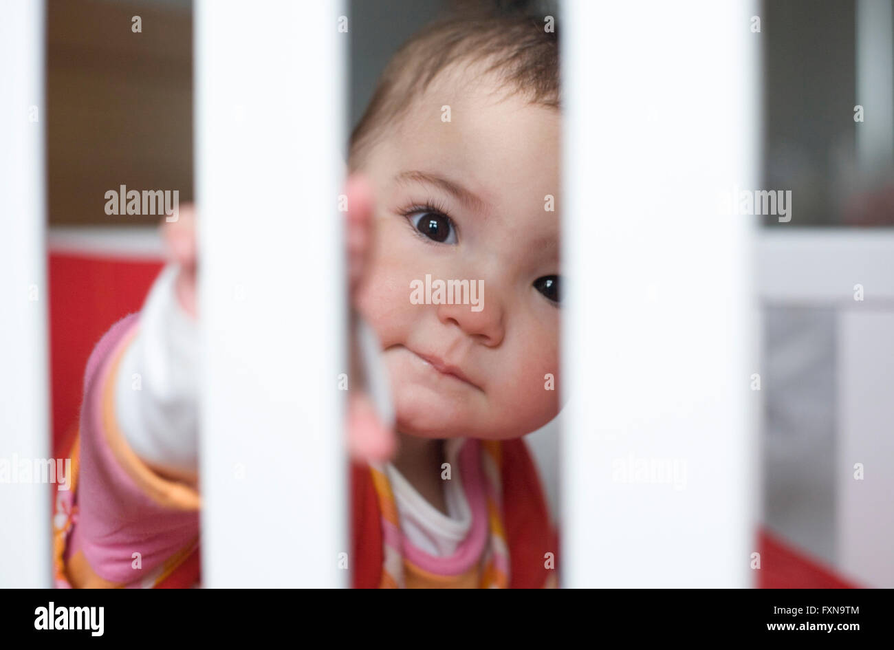Dix mois baby girl jouer à cache-cache, rendez-vous derrière les barreaux lit bébé blanc Banque D'Images