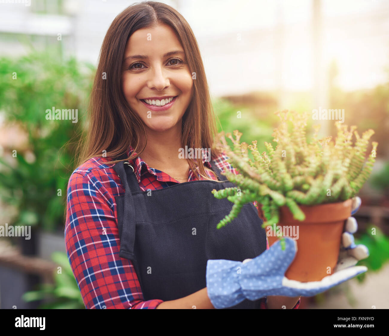 Smiling attractive young employée à une pépinière de fleurs tenant une plante en pot en vente dans ses mains, ardent soleil dans la ba Banque D'Images