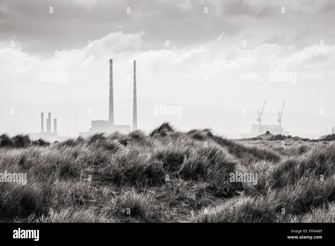 Vue sur le port de Dublin et de la centrale de Poolbeg Bull Island en noir et blanc Banque D'Images