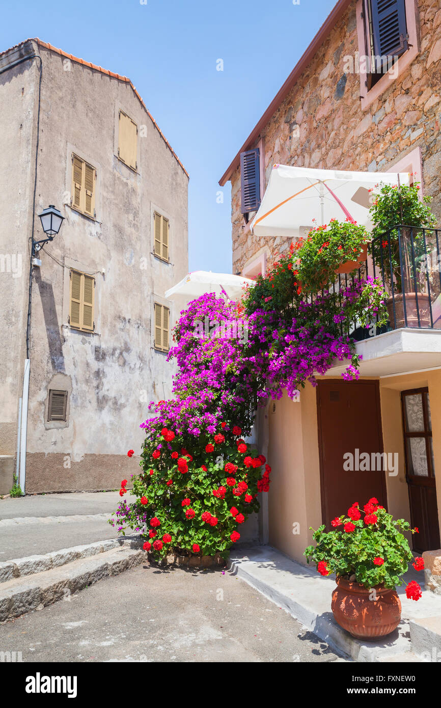 Fleurs décoratives sur la rue étroite de la ville de Piana en plein jour d'été. L'île de Corse, France Banque D'Images