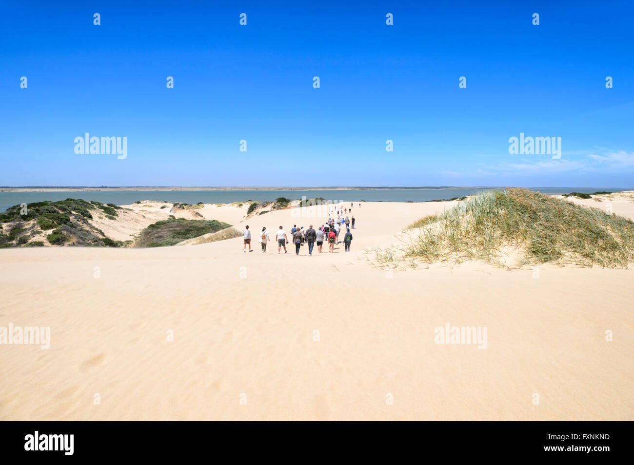 Les touristes marcher dans les dunes de sable du parc national de Coorong, péninsule de Fleurieu, Australie du Sud, un site Ramsar Banque D'Images