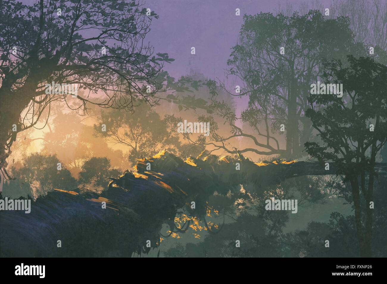 Pont de l'arbre dans la forêt de pluie lever du soleil,dans les bois,illustration peinture Banque D'Images
