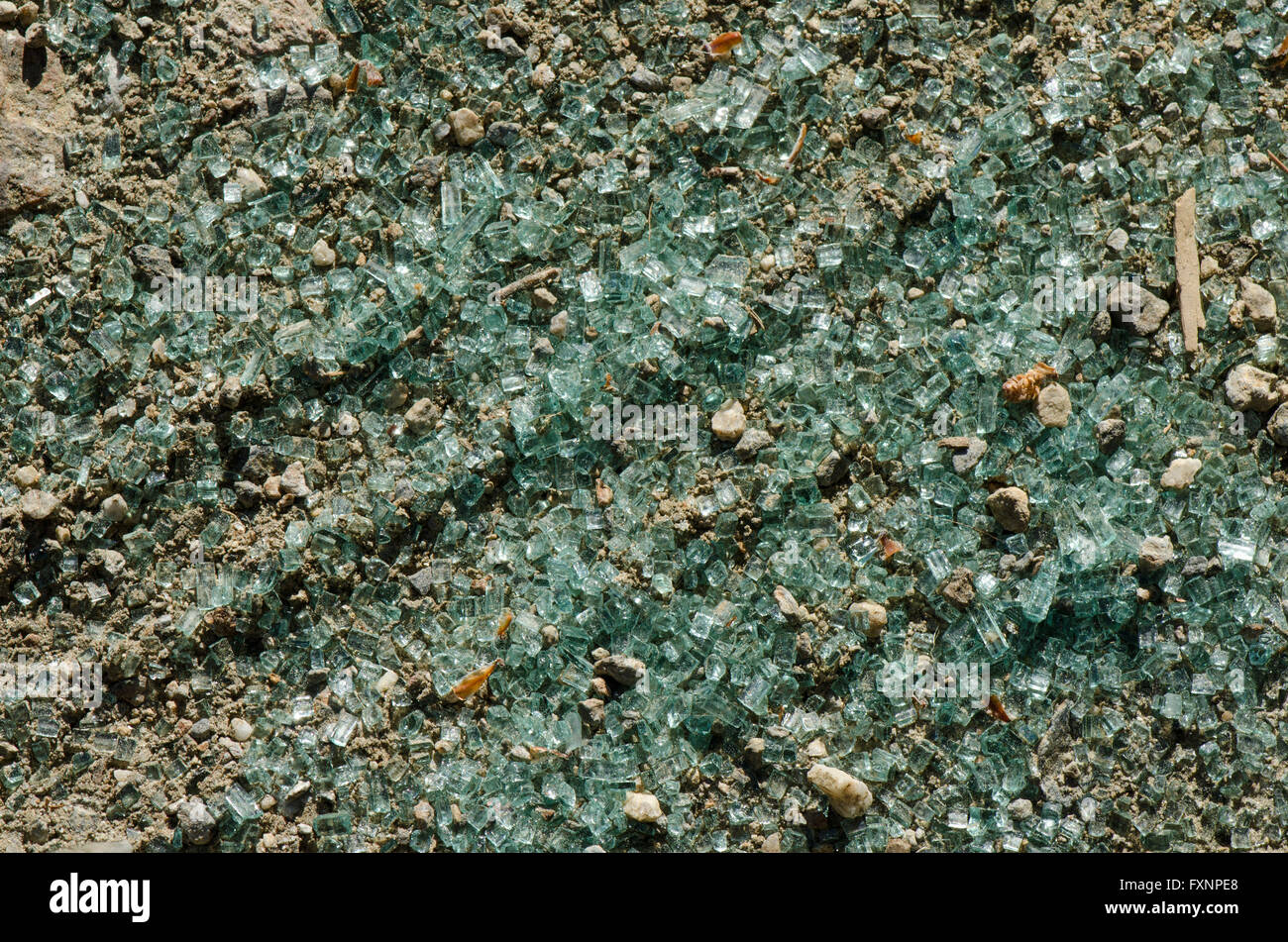 Des tessons de verre voiture pare-brise en éclats sur le sol. Banque D'Images