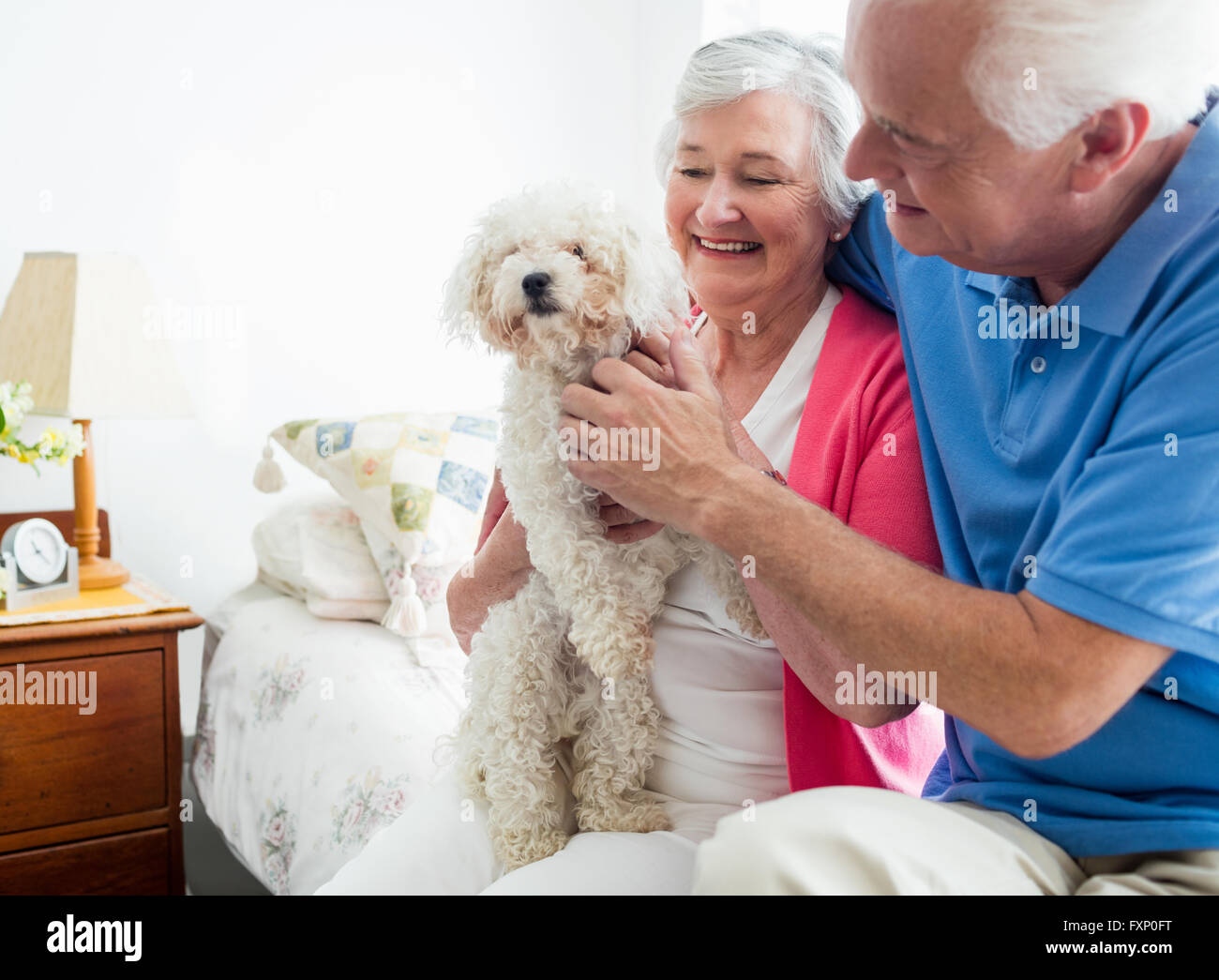 Senior couple holding un chien Banque D'Images