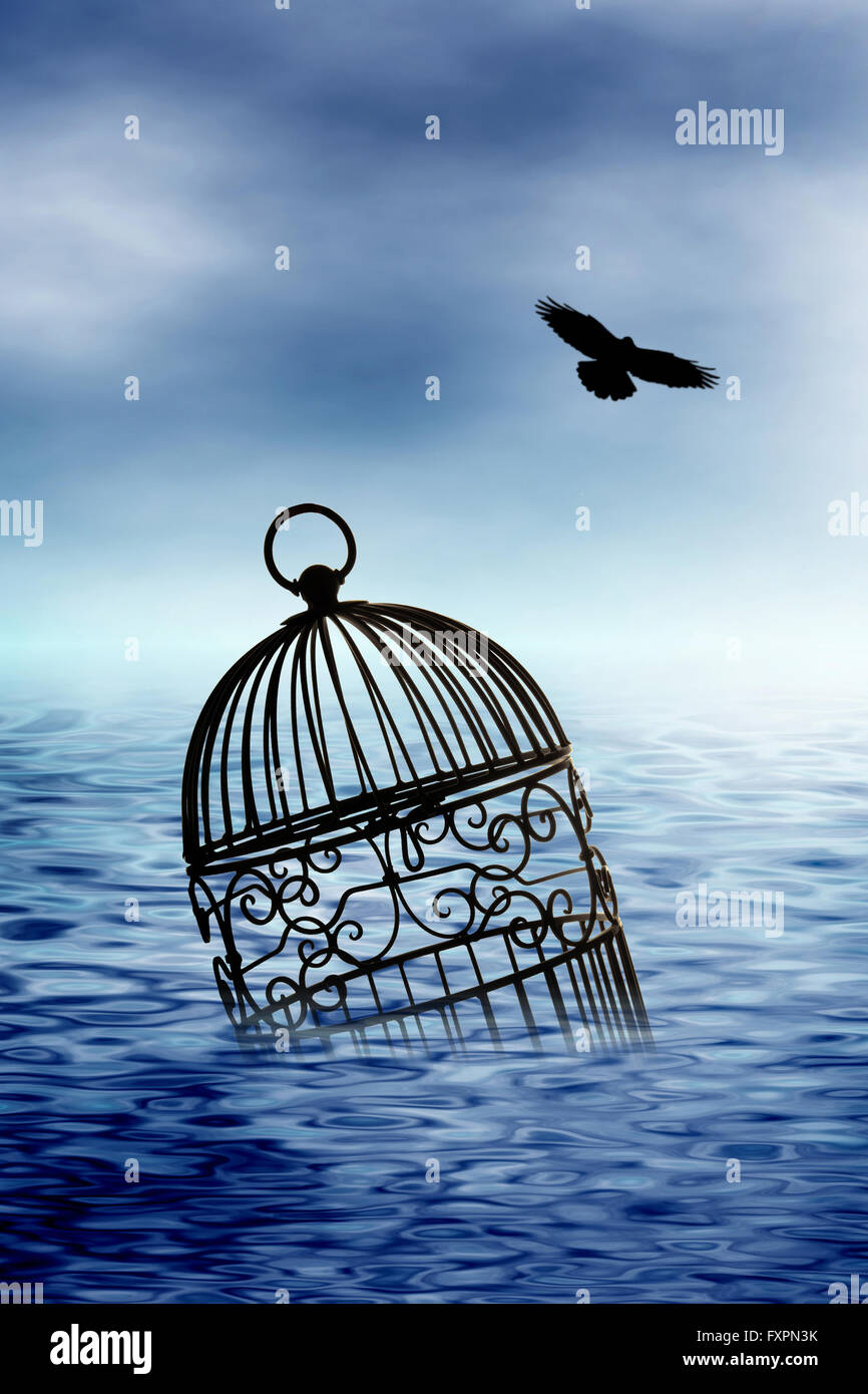 Cage flotte sur l'eau un oiseau s'envoler Banque D'Images