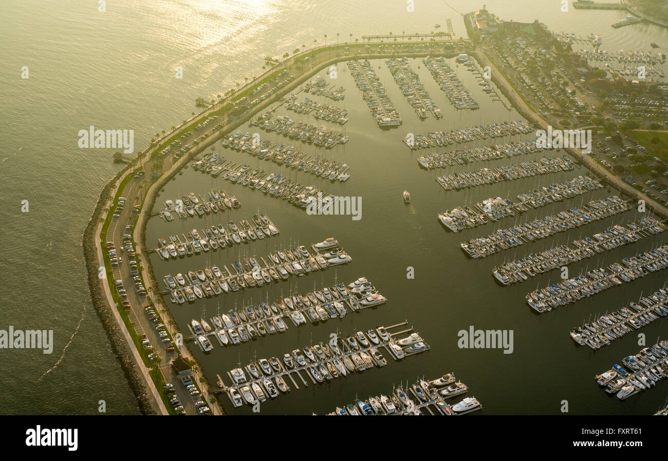 Vue aérienne, le centre-ville de Long Beach Yacht Marina, Long Beach, Los Angeles County, Californie, USA, United States of America, antenne Banque D'Images