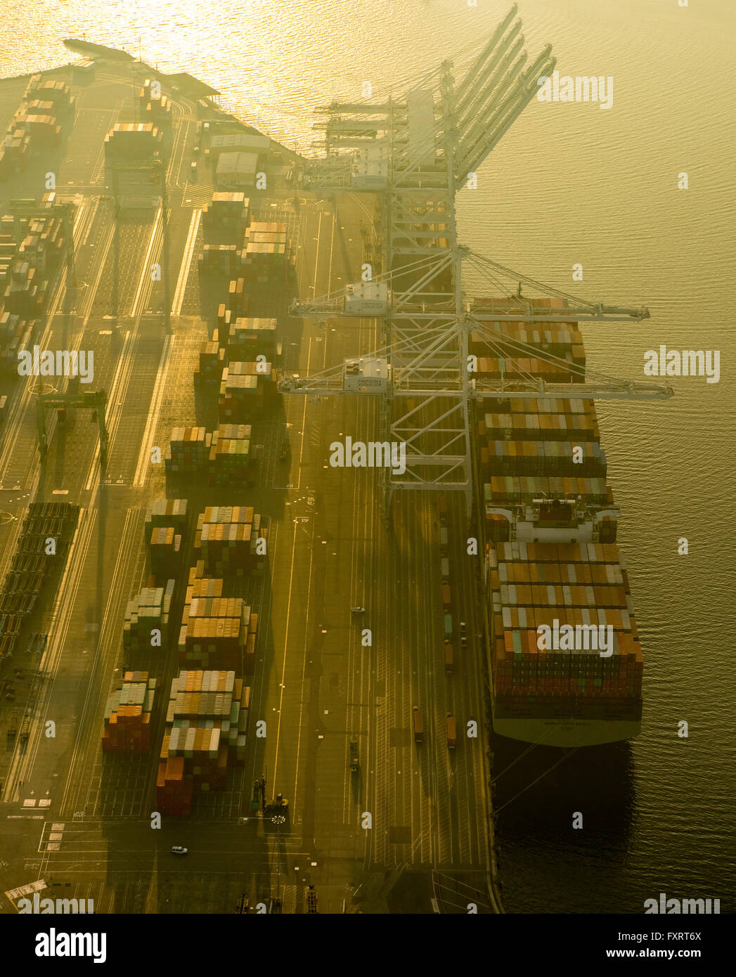 Vue aérienne, port à conteneurs de Long Beach dans la brume, Long Beach, Los Angeles County, Californie, USA, United States of America Banque D'Images