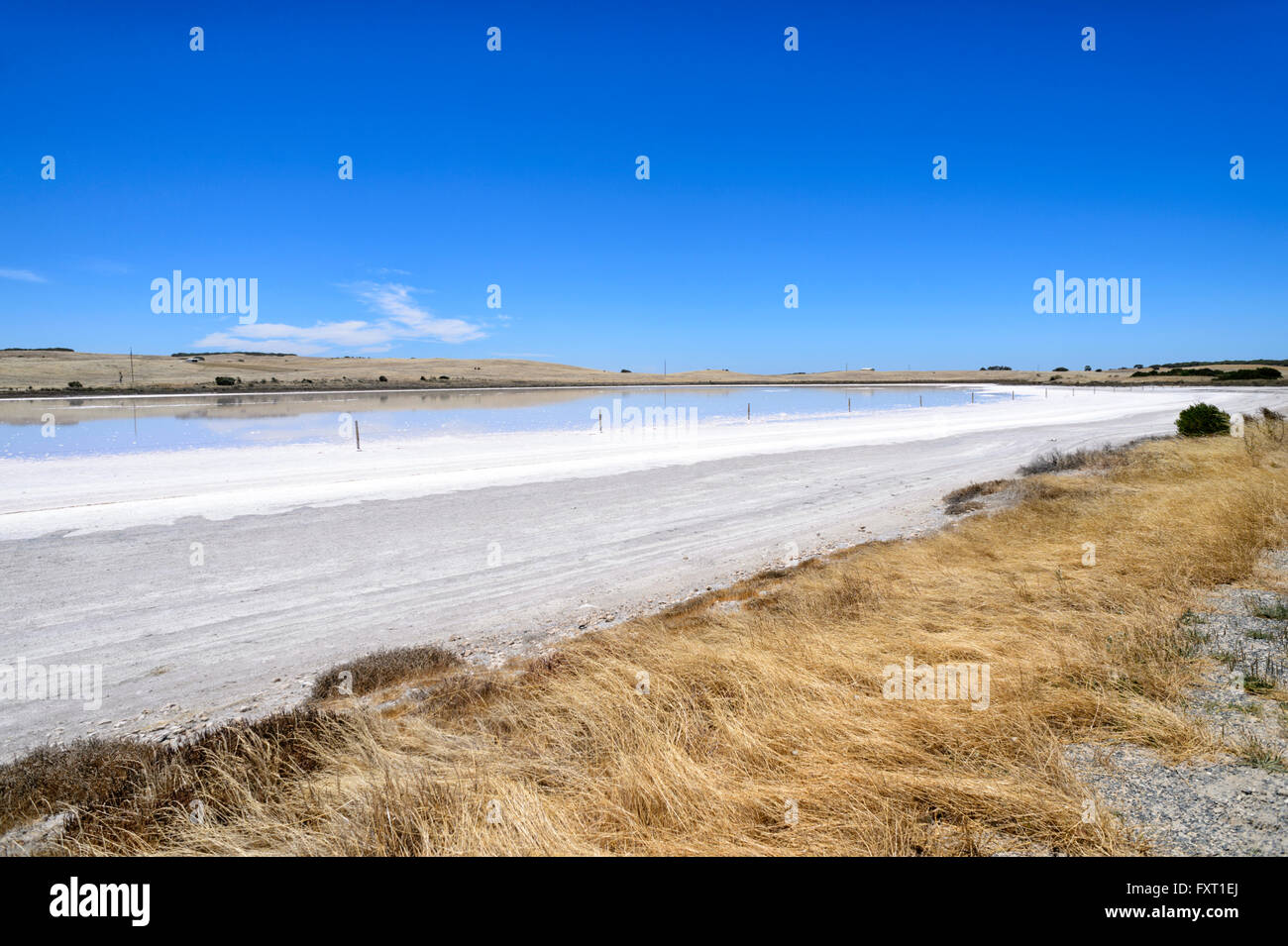 Saltpan près de Parnka Point, le parc national du Coorong, péninsule de Fleurieu, Australie du Sud, SA, Australie Banque D'Images