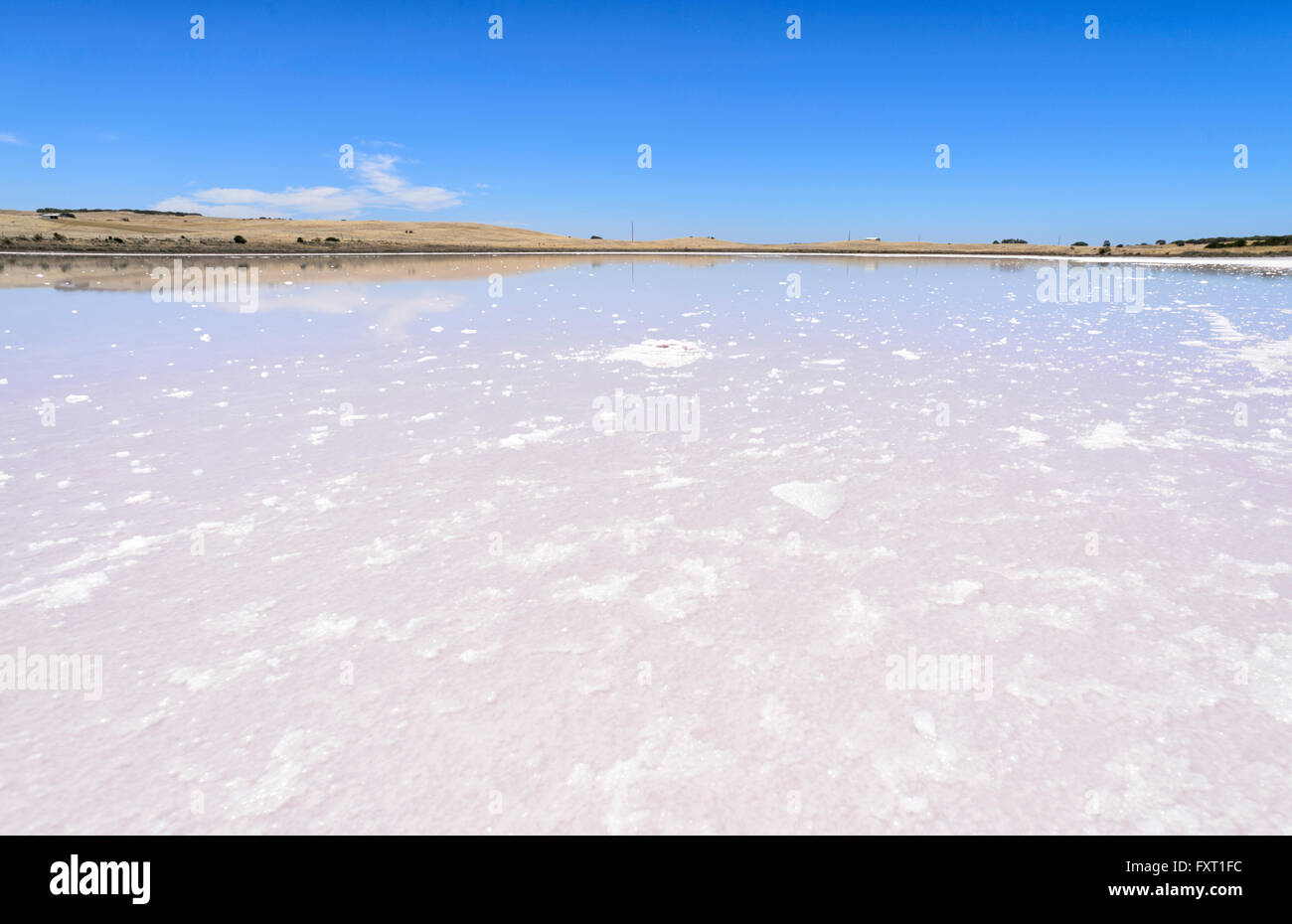 Saltpan près de Parnka Point, le parc national du Coorong, péninsule de Fleurieu, Australie du Sud, SA, Australie Banque D'Images
