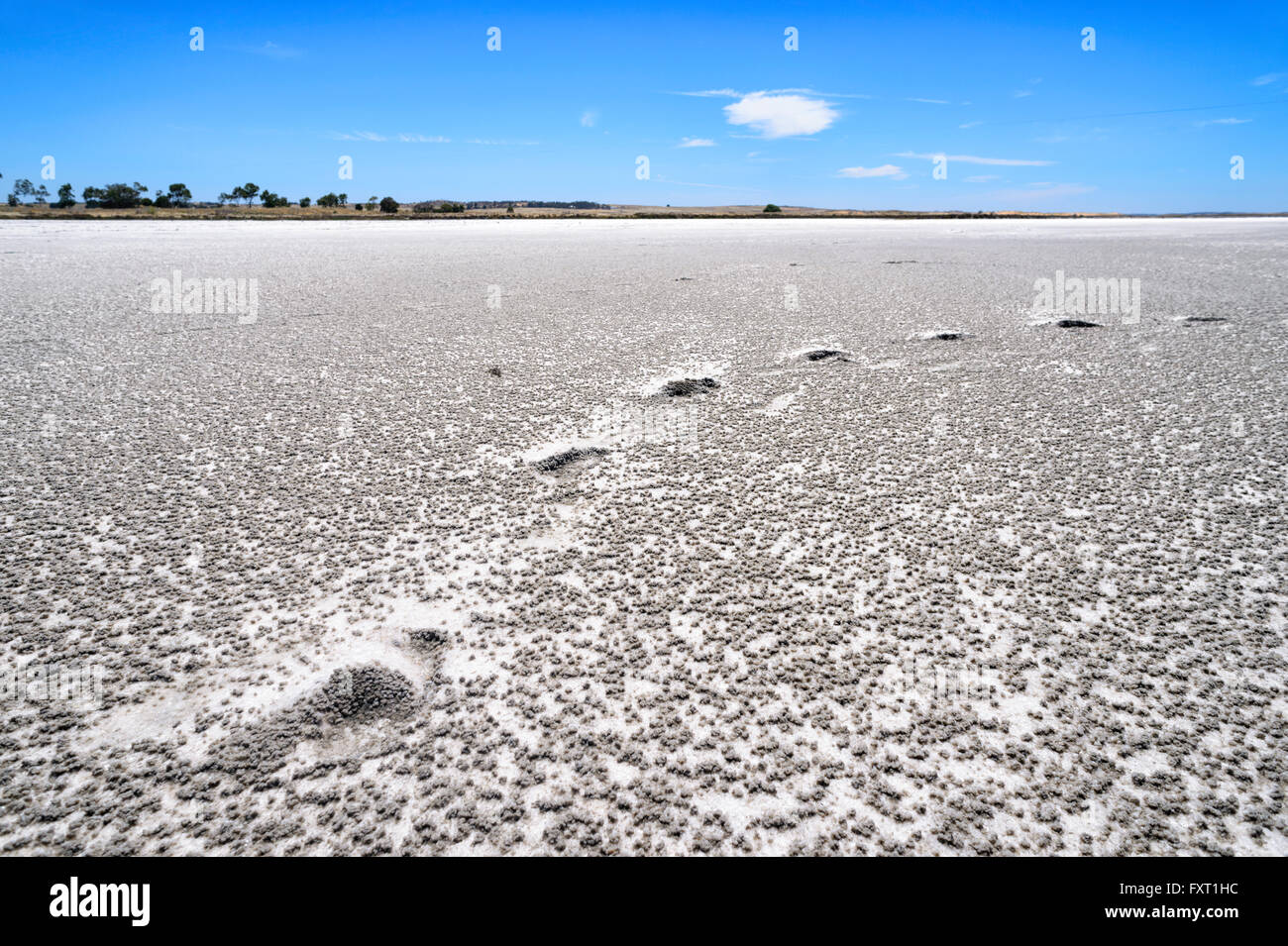 Saltpan près de Parnka Point, le parc national du Coorong, péninsule de Fleurieu, Australie du Sud, SA, Australie Banque D'Images