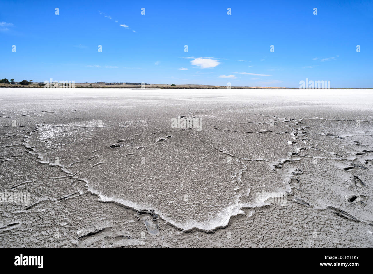 Saltpan près de Parnka Point, le parc national du Coorong, péninsule de Fleurieu, Australie du Sud, SA, Australie Banque D'Images