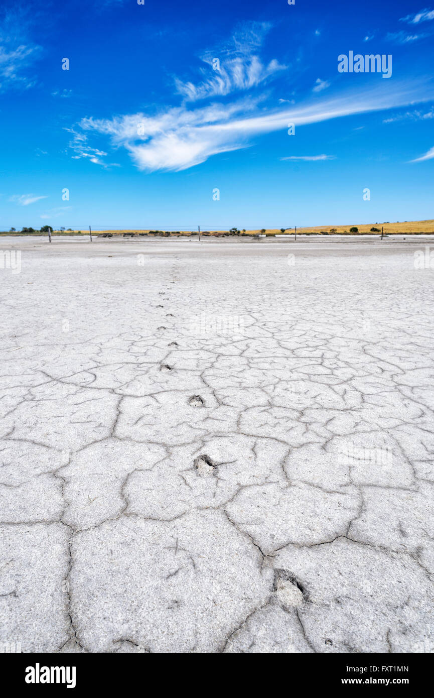 Saltpan près de Parnka Point, le parc national du Coorong, péninsule de Fleurieu, Australie du Sud, SA, Australie Banque D'Images
