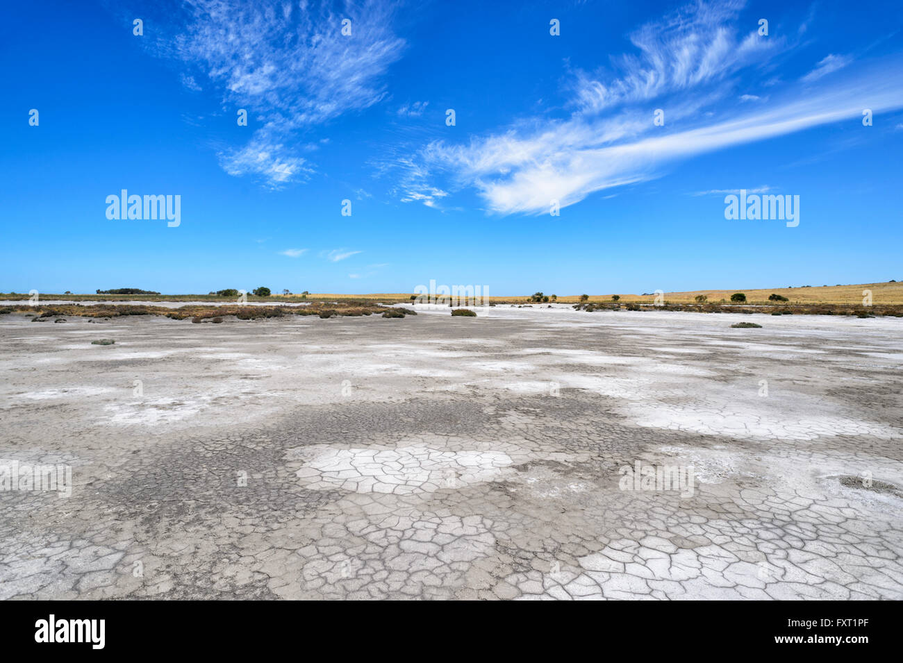 Saltpan près de Parnka Point, le parc national du Coorong, péninsule de Fleurieu, Australie du Sud, SA, Australie Banque D'Images