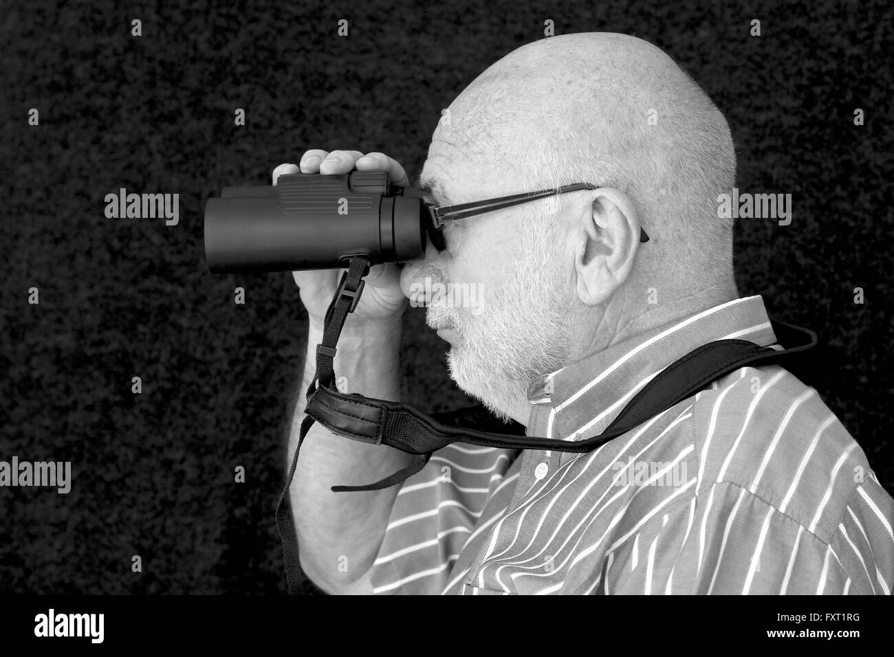 Un vieil homme chauve à la recherche à travers les jumelles. Banque D'Images
